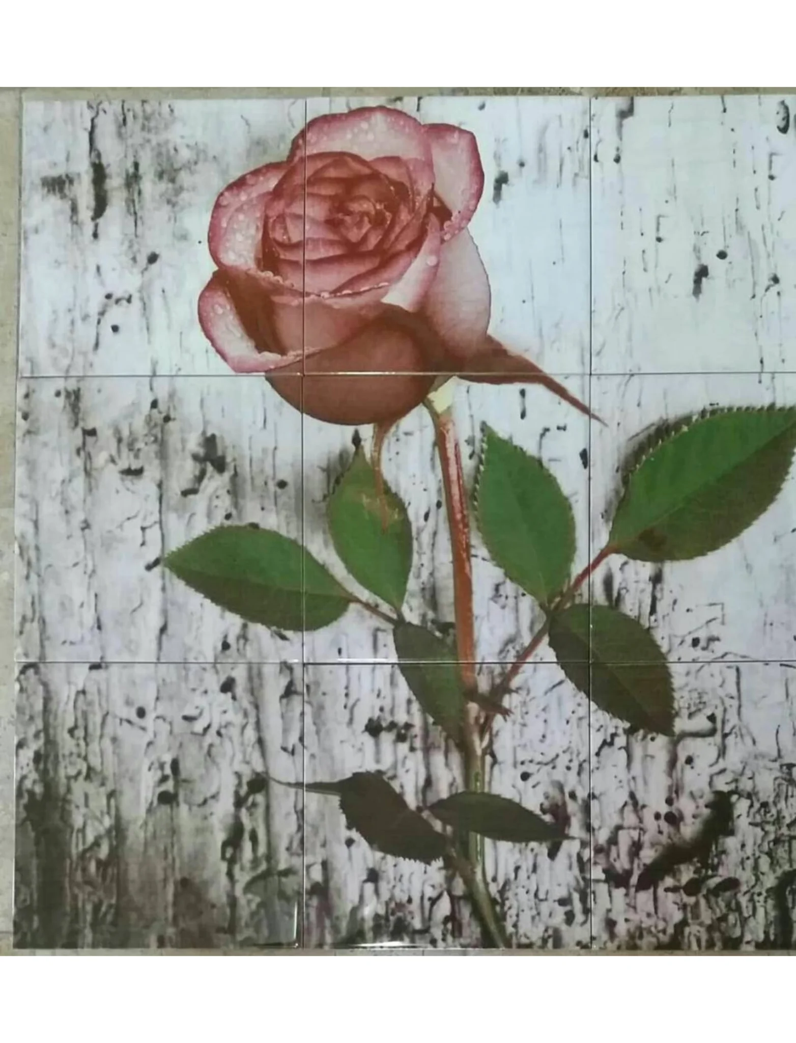 Dijital Baskı Seramik-21