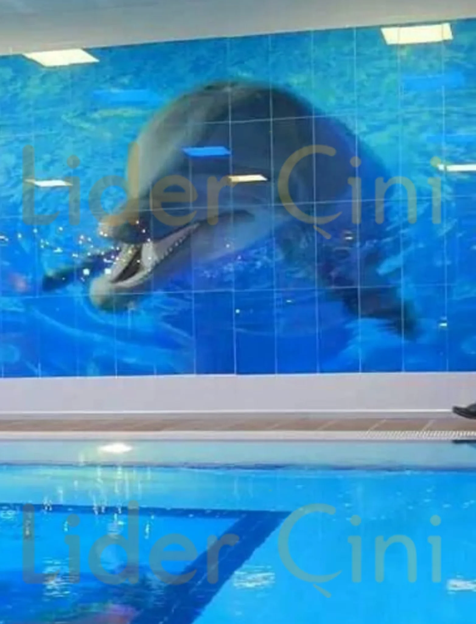 Dijital Baskı Seramik-33