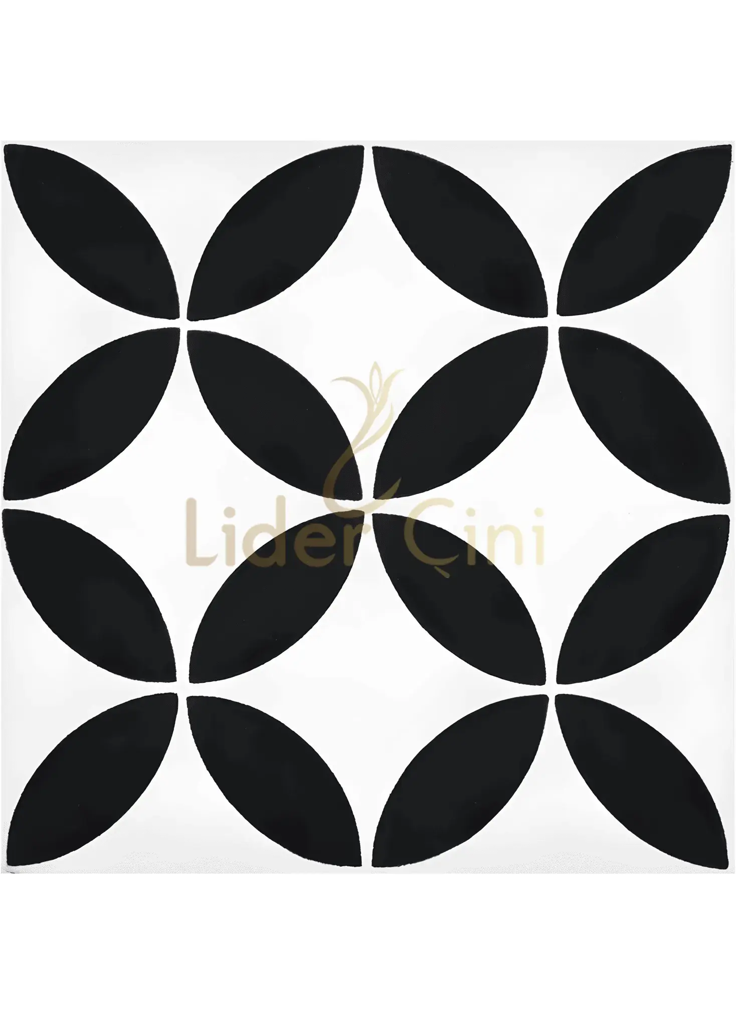 Desenli Yer Karoları-19, Desenli Yer Seramik Fayans