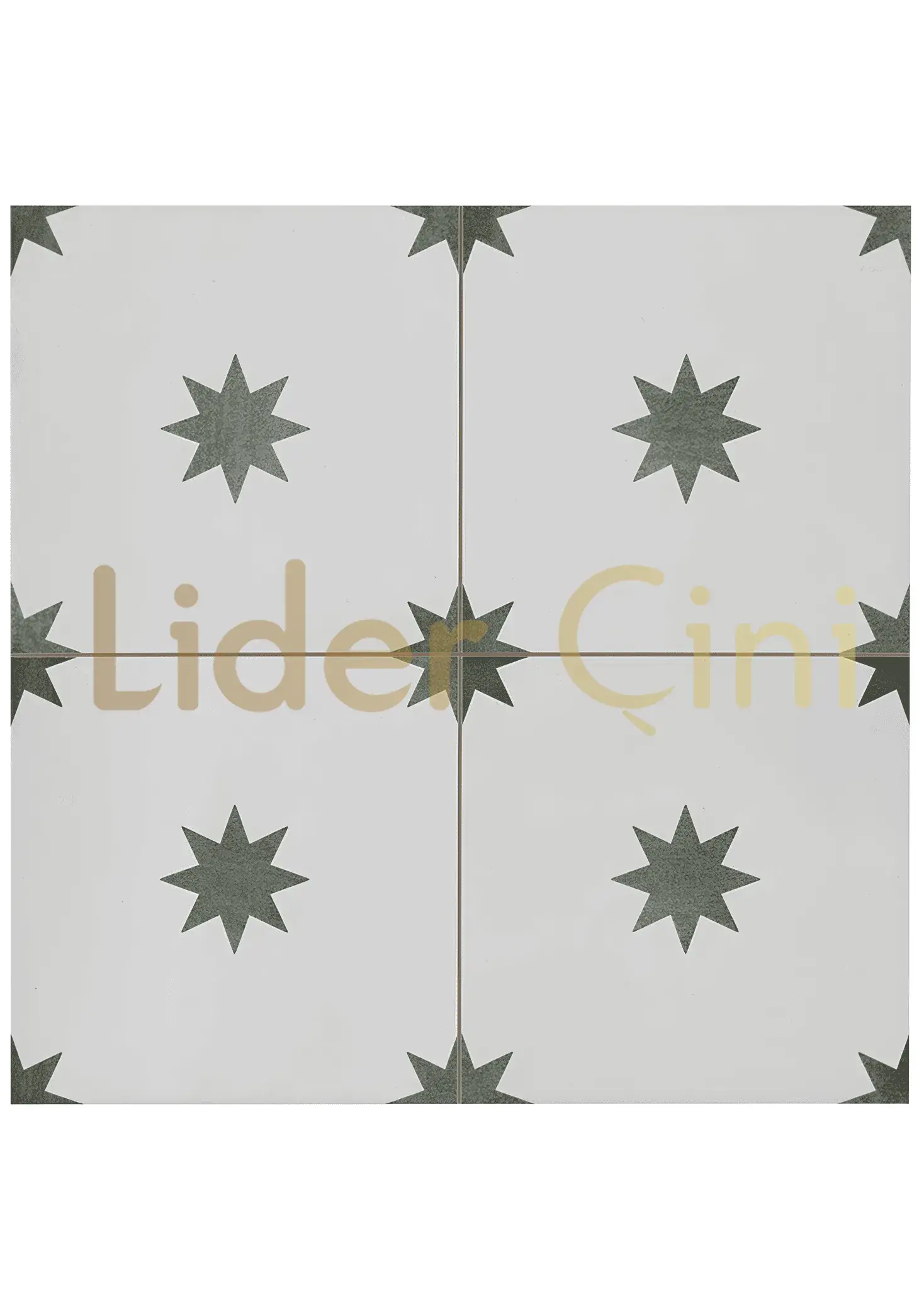 Desenli Yer Karoları-30, Çini Desenli Karo