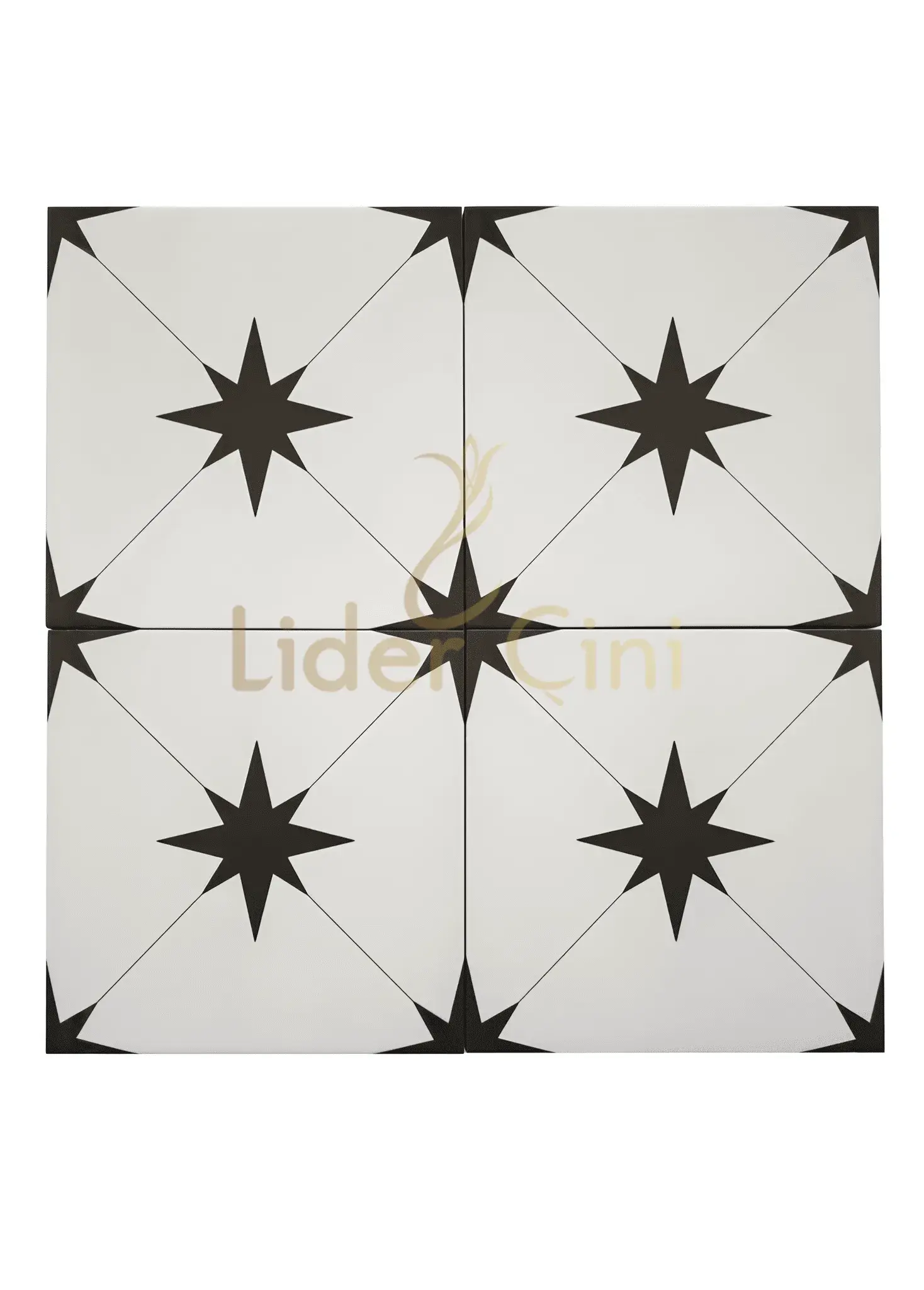 Desenli Yer Karoları-33, Desenli Fayans Banyo